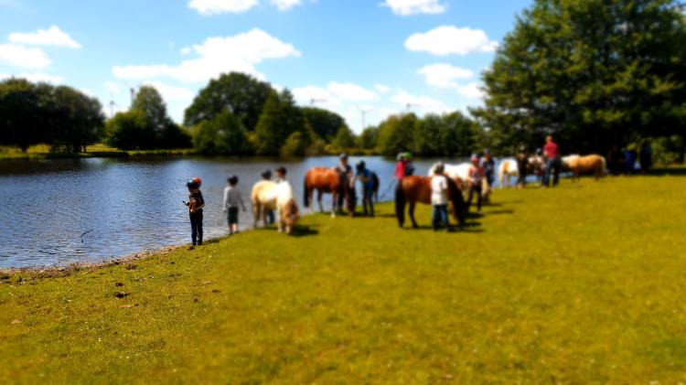 Klassenfahrt auf den Ponyhof